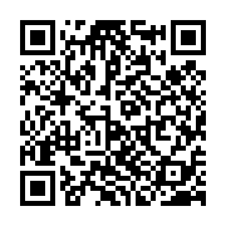 QR code for YFM419