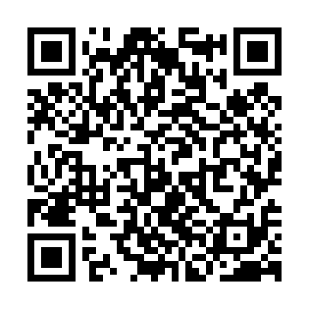 QR code for YFO411