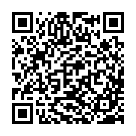 QR code for YFP387