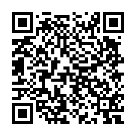 QR code for YFQ411