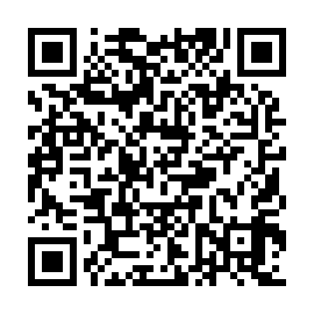 QR code for YFQ919