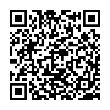 QR code for YFR313