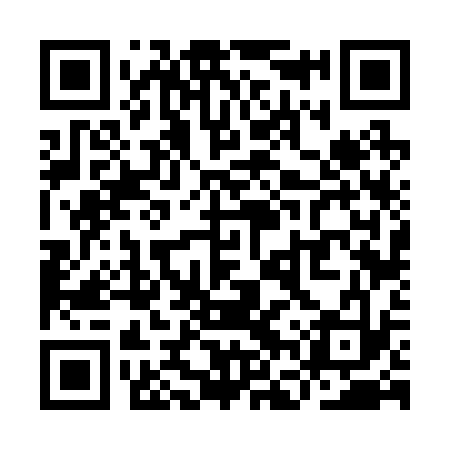 QR code for YFV233