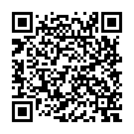QR code for YGP913