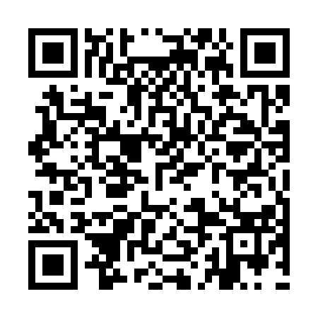 QR code for YHE313