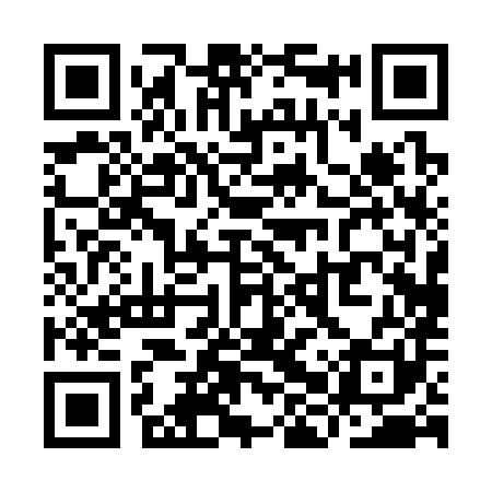 QR code for YHP381