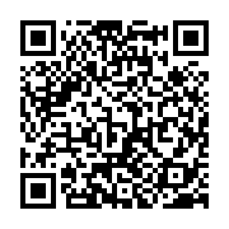 QR code for YIA838