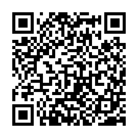 QR code for YII203