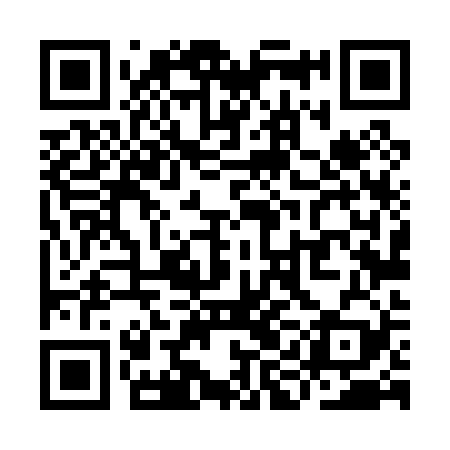 QR code for YIL029