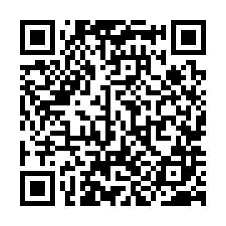 QR code for YIN382