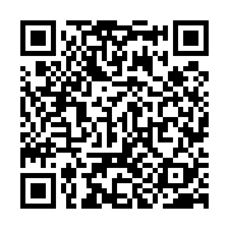 QR code for YIN529