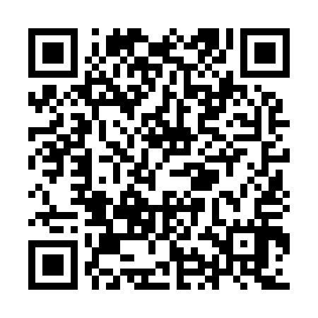 QR code for YIN917