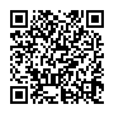 QR code for YIN919