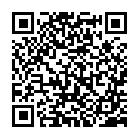 QR code for YIN947