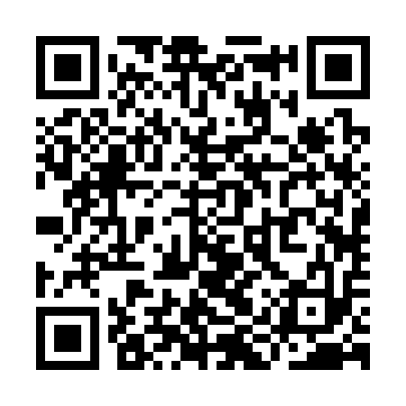 QR code for YIR313