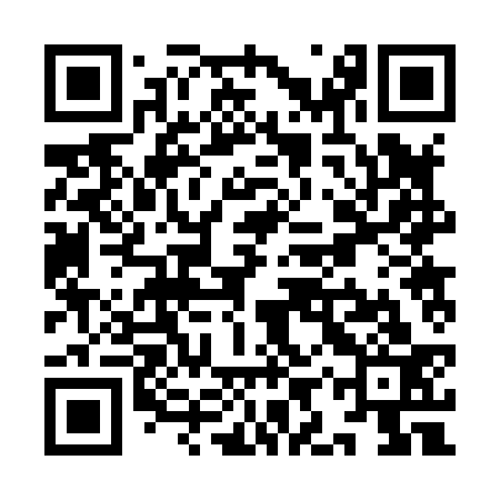 QR code for YIR833