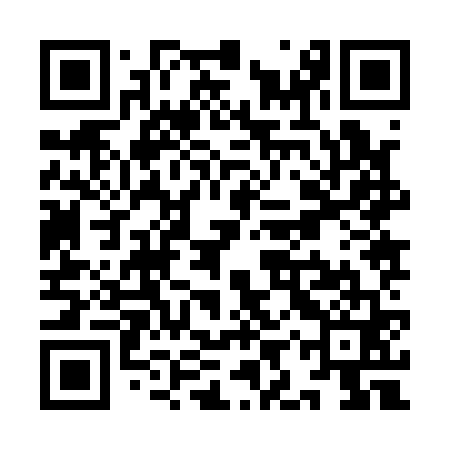QR code for YIZ161