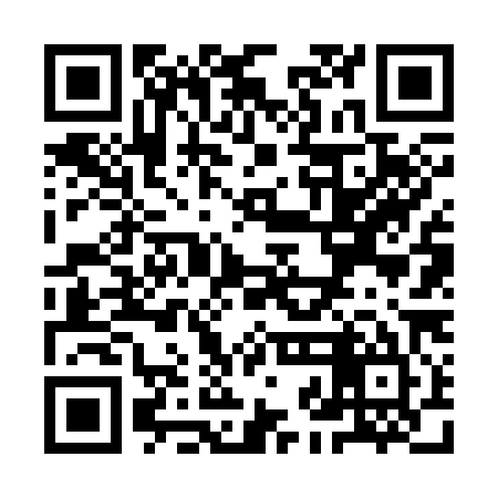 QR code for YJF385
