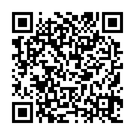 QR code for YJI335
