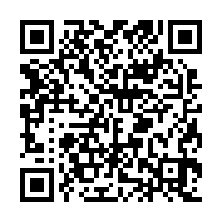 QR code for YJS233