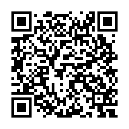 QR code for YJS313