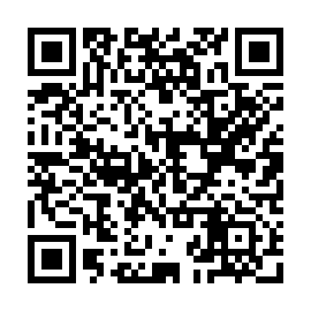 QR code for YJT313