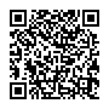 QR code for YKG333
