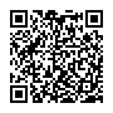 QR code for YLB313