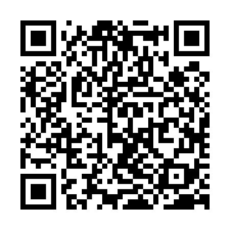 QR code for YLB579
