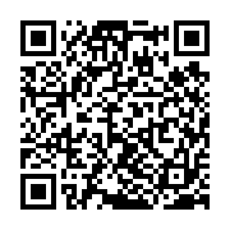 QR code for YLE613