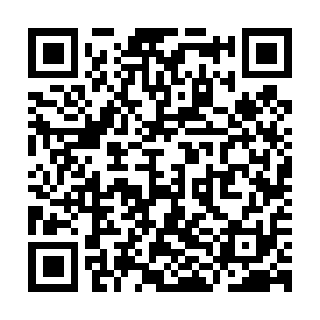 QR code for YLF411