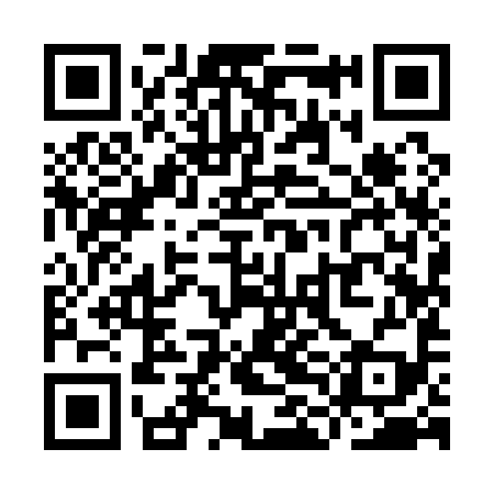 QR code for YLI199
