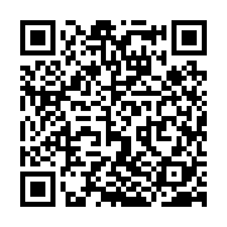 QR code for YLI228