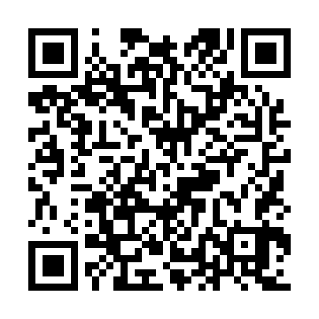QR code for YLL163