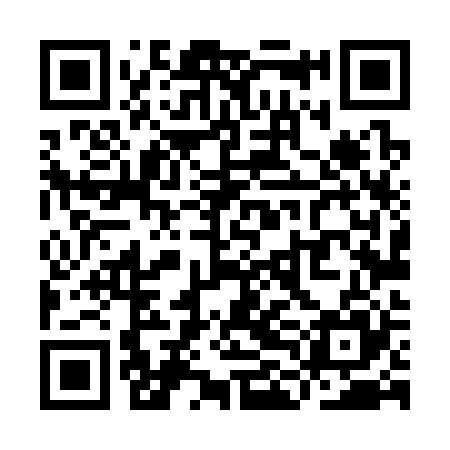 QR code for YLL325