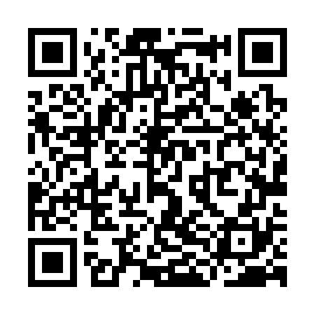 QR code for YLL370
