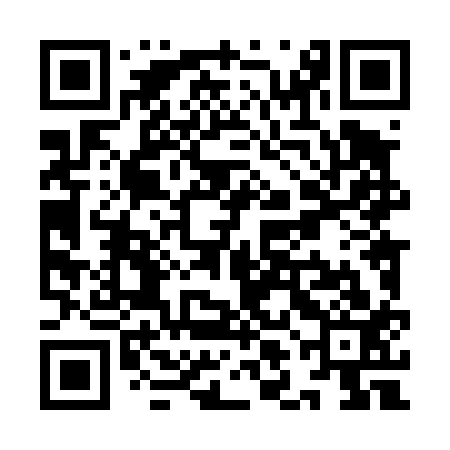 QR code for YLL413