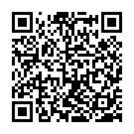 QR code for YLN011