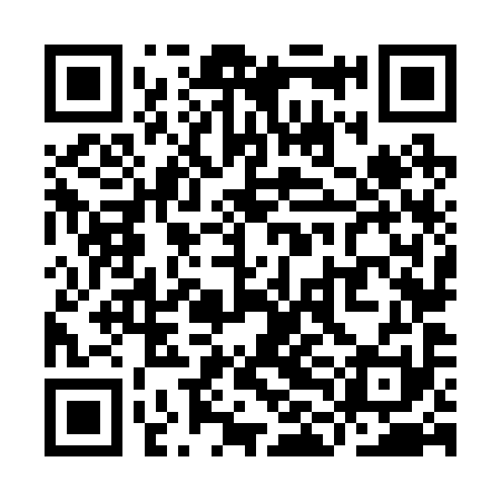 QR code for YLN291