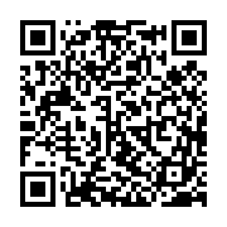 QR code for YLP463