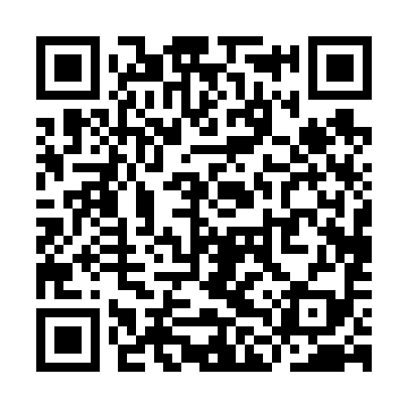 QR code for YLP699