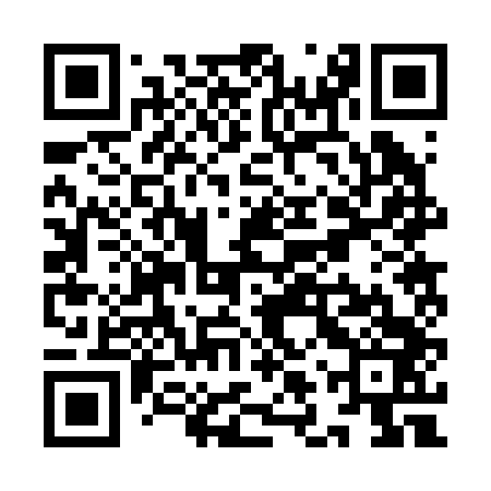QR code for YLR243