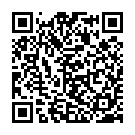 QR code for YLS595
