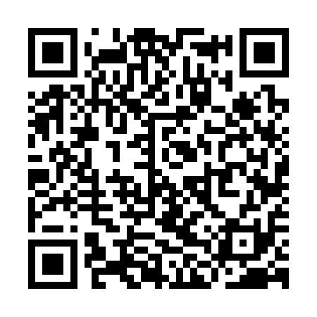 QR code for YLV311