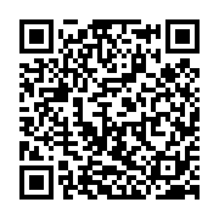 QR code for YLV411