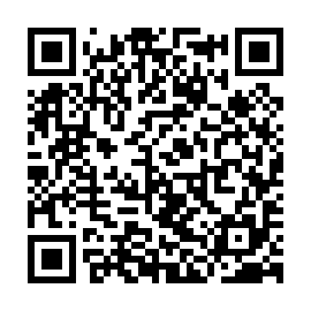 QR code for YLW095