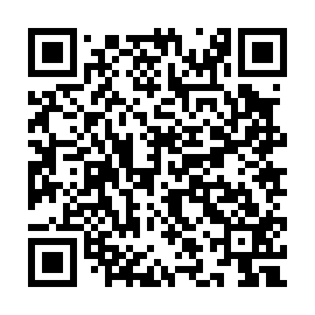 QR code for YLZ013