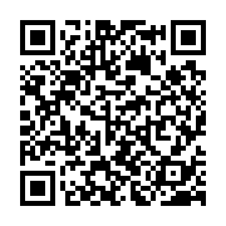 QR code for YMO738