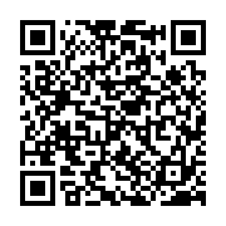 QR code for YNF333