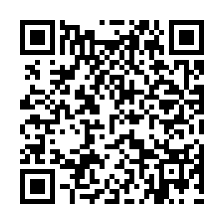 QR code for YNL333